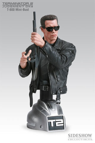 File:T800.polystone.jpg