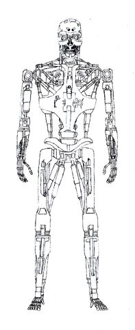 File:T-888 v1 Endoskeleton.jpg
