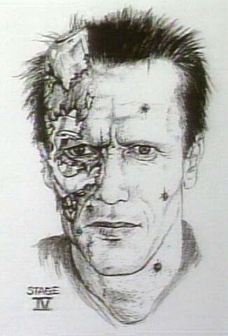 File:Pic of the BD face in T2.jpg