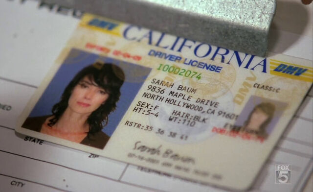 File:SCC 102 sarahs fake driver license.jpg