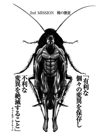 File:2nd Mission.jpg