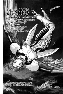 Chapter 41