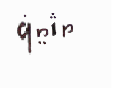 Cirayt Barcos Gemeos.gif
