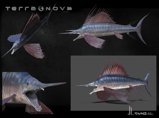 File:Sailfish POC v004.jpg