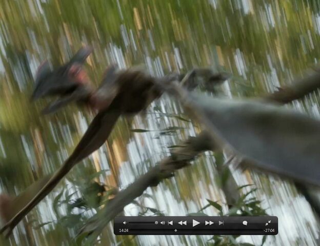 File:Pterosaur in tree.jpg