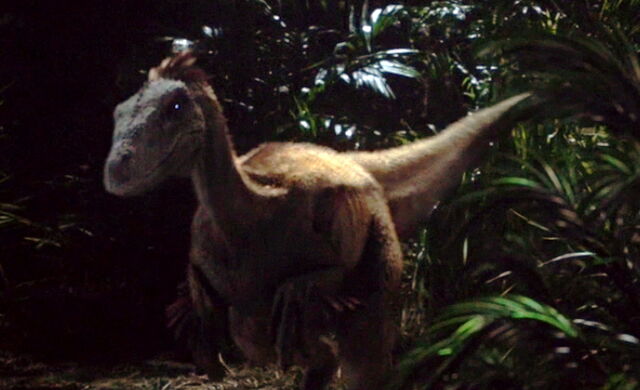File:Raptor4.jpg