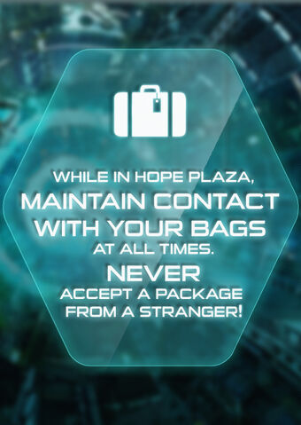 File:Hope Plaza bags.jpg