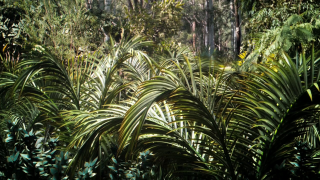 File:Vlcsnap-2016-07-03-17h53m45s238.png
