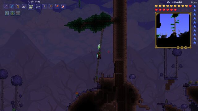 File:Giant Tree 1.jpg