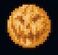 Pumpkin Moon.jpg