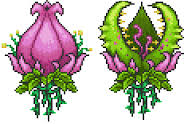 Plantera.jpg