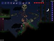 Terraria-skeleton.jpg