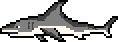 Terraria Shark