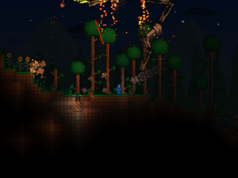 Downloadfile-2