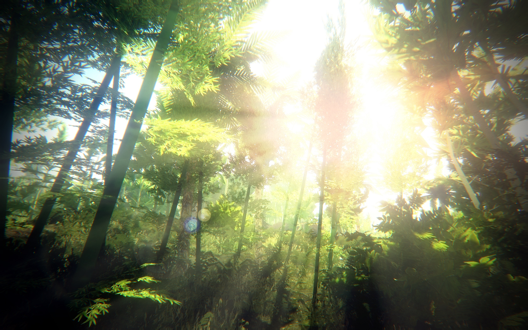 скачать tropical skyrim