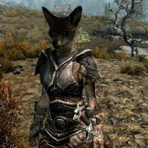 elder scrolls skyrim races elder scrolls skyrim races