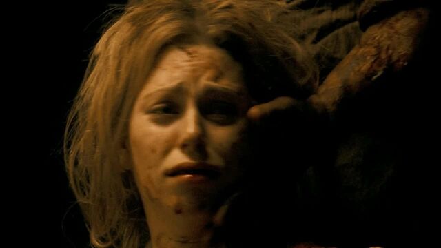 File:Screen image 301521.jpg