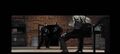 Thumbnail for version as of 07:07, July 19, 2014