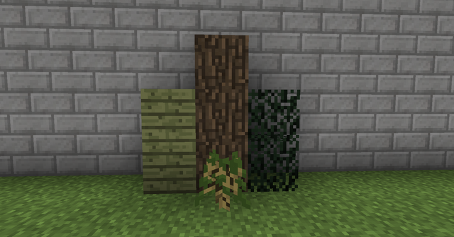 File:White Elm.png