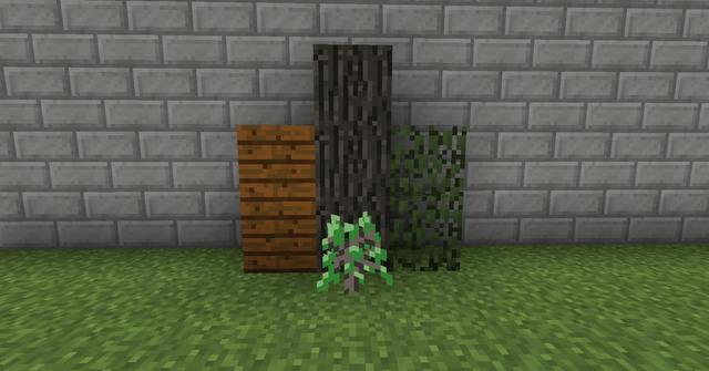 File:Maple.png