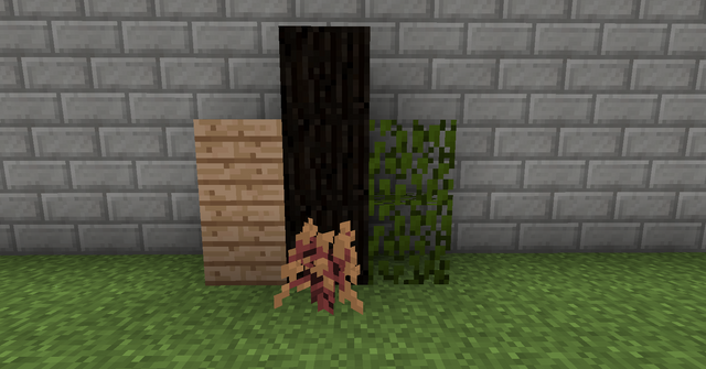 File:Douglass Fir.png