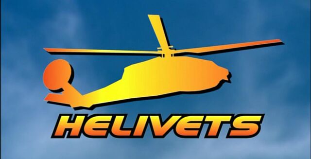 File:Helivets.jpg