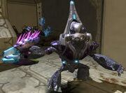 Images (11)