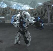 Xytan 'Montrumai
