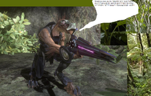 Homacidle jackal