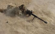 Dmr desert sniper