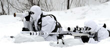 Sniper and spotter