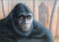 Thumbnail for version as of 02:54, November 14, 2012