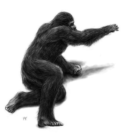 File:Baby-bigfoot-bigfoot-bigfoot-bigfoot-tracks-tracks-yeti-cryptozoology-13294970-500-554.jpg