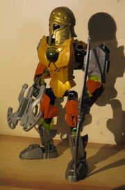 IMG 4334