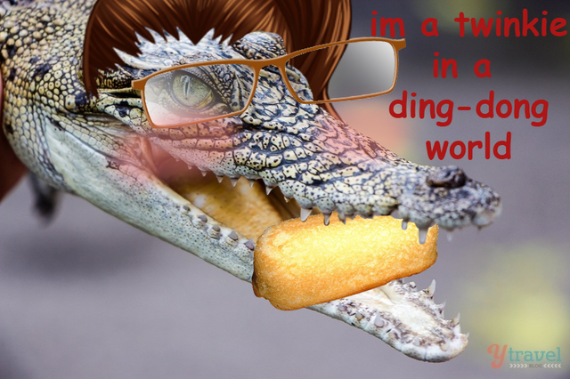 File:Untitled-1.png