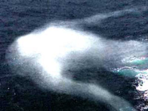 Ningen float