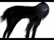 Strider