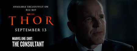 The Consultant Poster