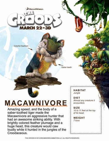 File:Macawnivore .jpg