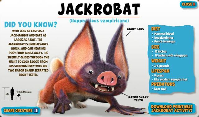 File:Jackrobat.jpg