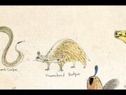 Hammerheadbadger