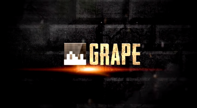 File:S11 - Grape.png