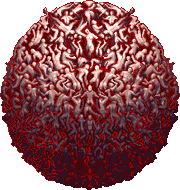 Legion