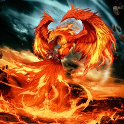 Phoenix Flame