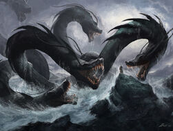 Hydra