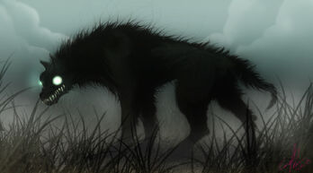 Black Dog