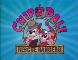 CnDRR title