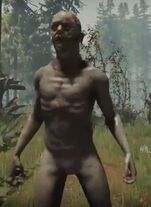 Skin.jpg