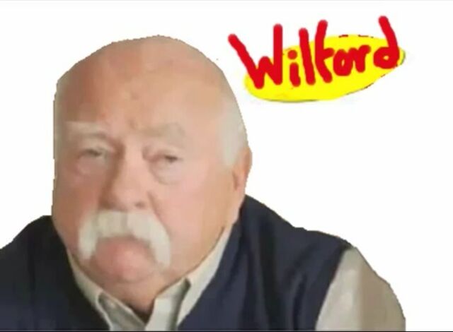 File:WilfordAF13.jpg