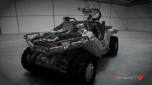 Warthog I.jpg